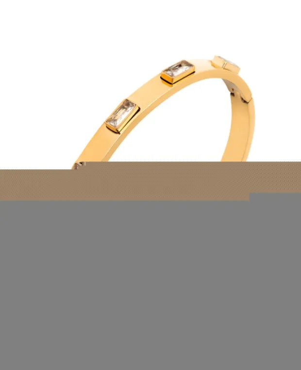 Bransoletka Pierre Ricaud Pierre Ricaud PR168.1WZ