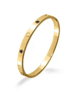 Pierre Ricaud PR112.1BZ