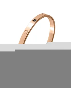 Pierre Ricaud PR112.9BZ