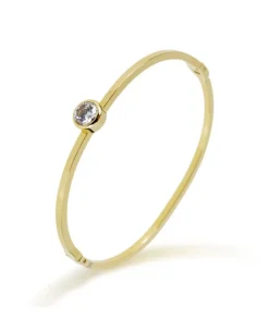 Pierre Ricaud PR137.1WZ