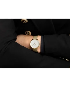 Zegarek damski Pierre Ricaud P22168.1113Q