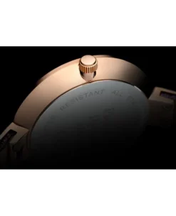 Zegarek damski Pierre Ricaud P22085.9P1RQ