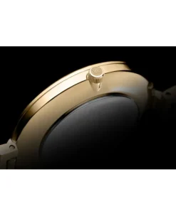 Zegarek damski Pierre Ricaud P22108.1113Q