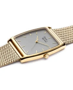 Zegarek męski Pierre Ricaud P97039.1117Q