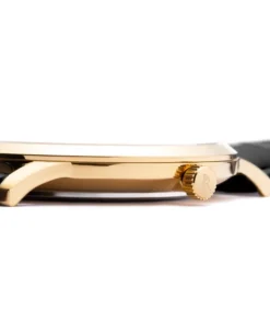 Zegarek męski Pierre Ricaud P91022.1223Q